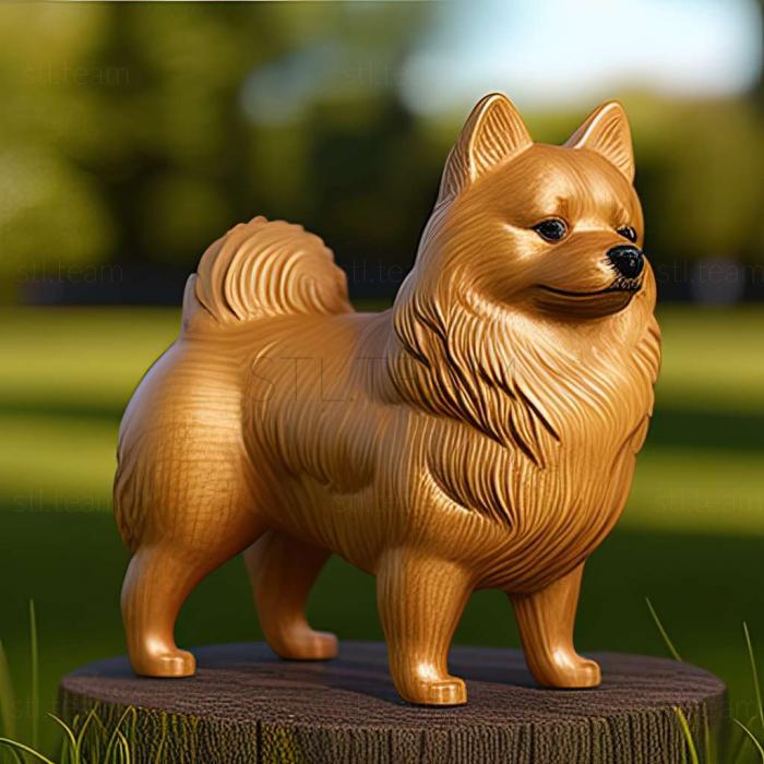 3D model Norbotten Spitz dog (STL)